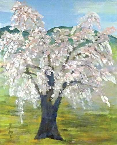 醍醐の桜 — 長岡美和子