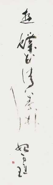 遊蝶花… — 清水喜美子