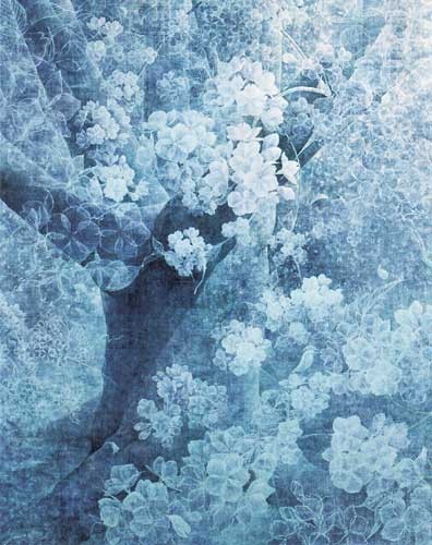 光と影の間 — 中澤純代